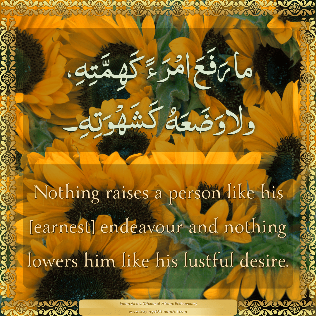 Nothing raises a person like his [earnest] endeavour and nothing lowers...